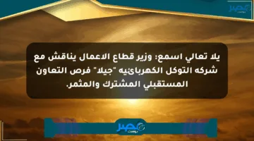 يلا تعالى اسمع: وزير قطاع الأعمال يناقش مع شركة التوكل الكهربائية “جيلا” فرص التعاون المستقبلي المشترك والمثمر.
